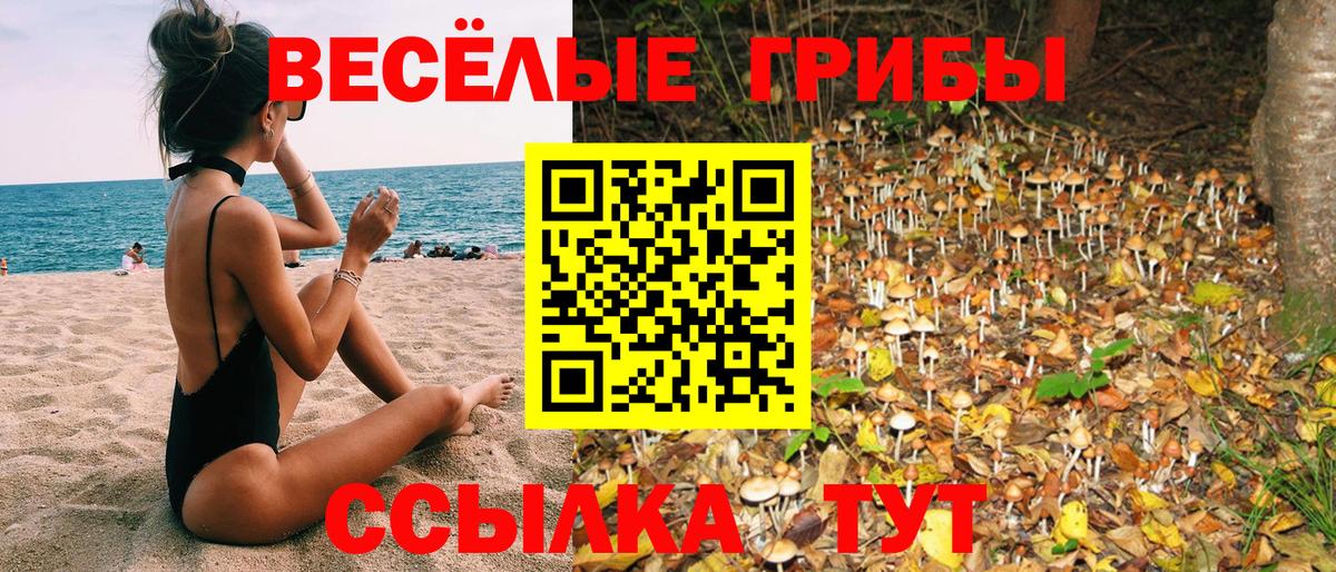 Псилоцибиновые грибы Magic Shrooms Отрадный